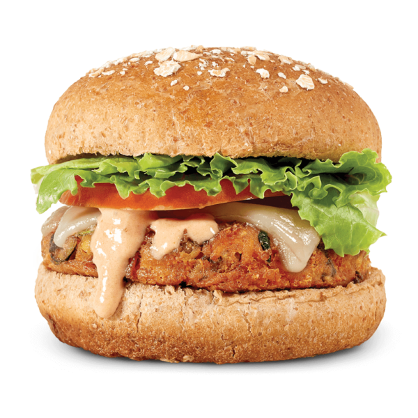 Spicy Chicken Sub